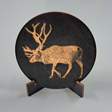 Katso kuvagalleriassa, Kultainen poro