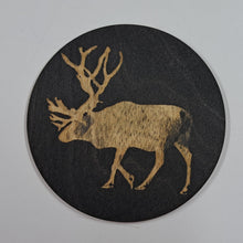 Katso kuvagalleriassa, Kultainen poro