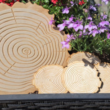 Katso kuvagalleriassa, Vuosirenkaat- kattaussarja