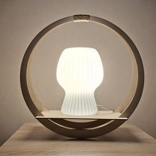 Katso kuvagalleriassa, Lyhty- ja kukka-amppeli