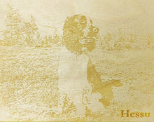 Katso kuvagalleriassa, Kuvataulut