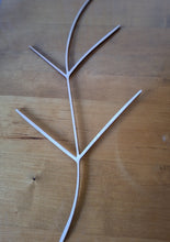 Katso kuvagalleriassa, Puuoksat