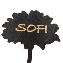 Katso kuvagalleriassa, Kattauskukat