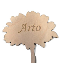 Katso kuvagalleriassa, Kattauskukat