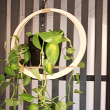 Katso kuvagalleriassa, Lyhty- ja kukka-amppeli