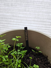 Katso kuvagalleriassa, Yrttitikut