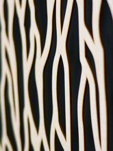 Katso kuvagalleriassa, Kaarna pieni